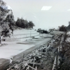 Buena Vista Bridge